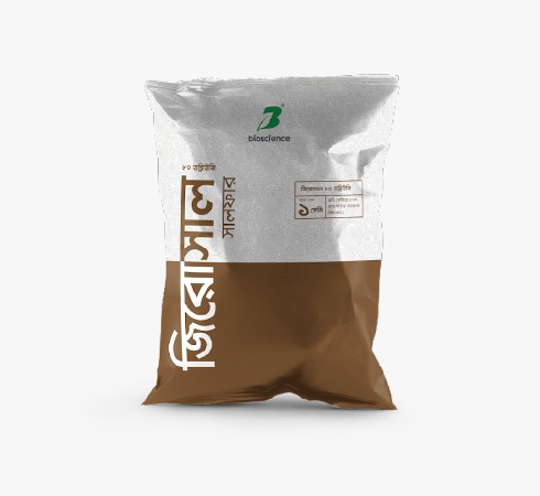 website template image