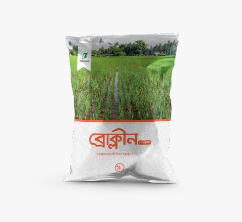 website template image