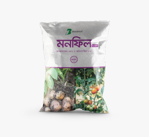 website template image