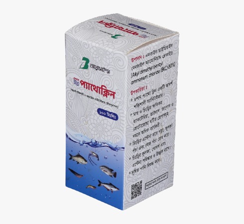 website template image