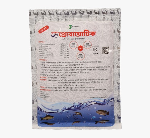 website template image